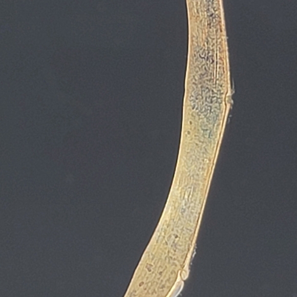 Black enamel bamboo shaped bracelet GUC - Picture 6 of 7